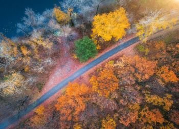 Aerial view of road in beautiful autumn forest at sunset. Beautiful landscape with empty rural road, trees with red and orange leaves. Highway through the park. Top view from flying drone. Fall colors