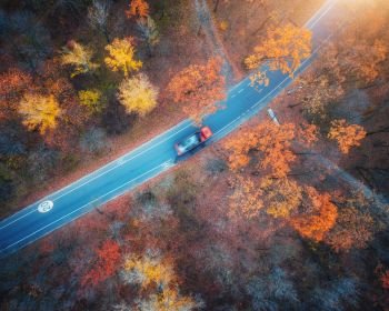 Aerial view of road with blurred car in autumn forest at sunset. Amazing landscape with rural road, trees with red and orange leaves. Highway through the park. Top view from flying drone. Nature
