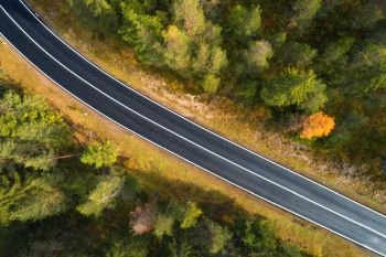 Aerial view of the road in italian forest at sunrise in Dolomites. Top view of perfect asphalt roadway, green and orange trees in autumn. Highway through the fall woodland. Trip in europe. Travel