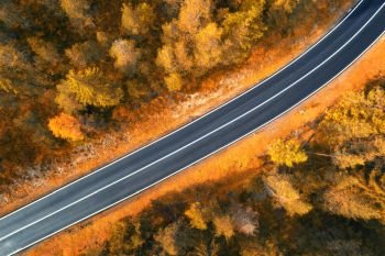 Aerial view of the road in autumn forest at sunset in Dolomites. Top view from drone of perfect asphalt roadway and orange trees. Highway through the fall woodland. Trip in europe. Travel and nature