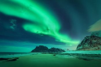 Northern lights in Lofoten islands, Norway. Green aurora borealis. Starry sky with polar lights. Winter landscape with bright aurora, sea, sandy beach and snowy mountains. Uttakleiv beach at night