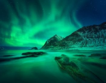 Aurora borealis above snowy mountain and sandy beach with stones. Northern lights in Lofoten islands, Norway. Starry sky with polar lights. Night winter landscape with aurora, sea with blurred water. Aurora borealis, snowy mountain and sandy beach with stones