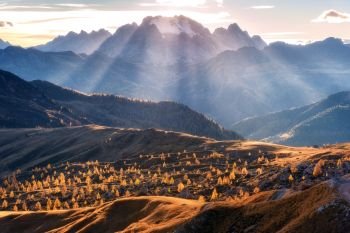 Mountain valley lighted with bright sunbeams at sunset in autumn in Dolomites, Italy. Landscape with mountains, rolling hills with orange trees and grass, alpine meadows, gold sunlight in fall. Alps