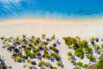 Aerial view of umbrellas, palms on the sandy beach of Indian Ocean at bright sunny day. Summer holiday in Africa. Tropical seascape with green palm trees, parasols, boats, yachts, blue water. Top view
