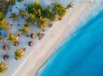 Aerial view of umbrellas, palms on the sandy beach of Indian Ocean at sunset. Summer in Zanzibar, Africa. Tropical landscape with palm trees, parasols, walking people, blue water, waves. Top view