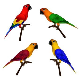 Set of beautiful colorful parrots isolated on white background- vector illustration. Colors: red, green, yellow and blue, purple, pink .