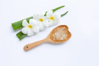 Aloe vera is a popular medicinal plant for health and beauty, with Plumeria flower on white background.