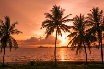 Beach Sunset with silhouetted coconut trees, Ranong Province, Thailand.