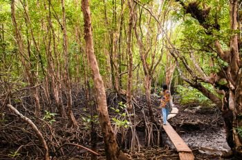 A woman explored mangrove forest in Thailand.
