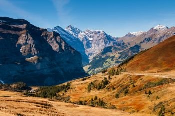 Panoramic scenery of  Swiss alps mountain rage deep valley view from Eigergletscher, Jungfrau region - Switzerland