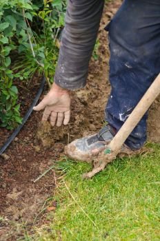 Man digs a hole to plant a tree.