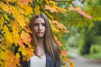 Girl among maple leaves in autumn.. Autumn portrait of a girl in maple leaves 3666.