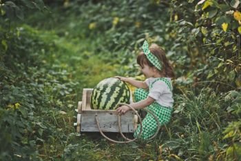 A little girl carries a huge watermelon on a cart.. Portrait of a child with a huge watermelon in the cart 1893.