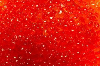 Fresh and tasty red salmon caviar close up background.