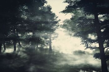 Foggy pine forest at night time, 3d illustration.