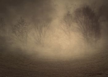 Dark misty landscape with spooky leafless trees, photomanipulation, illustration.