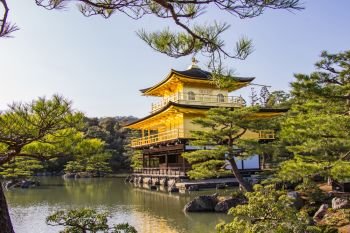 KYOTO, JAPAN - MARCH 13, 2018: Golden Pavilion of Kinkaku-ji temple beautiful architecture, one of the most famous temple in Kyoto. Japan.