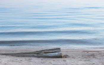 Dry log on the sandy shore at the edge of wavy water in the evening. Natural cool water background with space for copy. White Nights Season, Republic of Karelia, Russia.