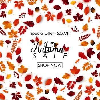 Autumn sale background with falling leaves