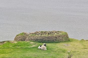 Faroese ewe (sheep) with cute little lamb laying on a green field on the Island Vagar of the Faroe Islands with Sorvagsvatn or Leitisvatn lake in the background. Landscape with water, grass, rocks, lamb and sheep. Glorious sceneries of the Faroes. Postcard motif.