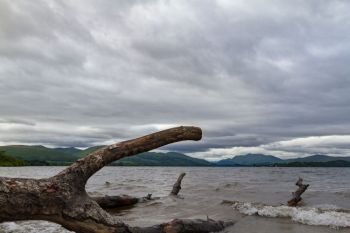 Cut tree trunk and bramches on the shores of lake Loch Lomond in Scotland with dramatic cloudscape. Photo taken near Duck Bay