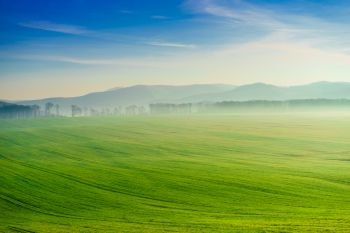 Green field and mountains hills landscape. Green field and hill landscape