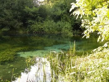 Beautiful, transparent water of Black Drim’s River, Macedonia. Balcan nature.. Beautiful, transparent water of Black Drim’s River, Macedonia.