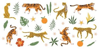 Tigers, leopards and jaguars with tropical plants. Wild animals, palm leaves flowers and fruits, safari predators, cat family. Safari and zoo mammals. Decor elements vector modern cartoon isolated set. Tigers, leopards and jaguars with tropical plants. Wild animals, palm leaves flowers and fruits, safari predators, cat family. Safari and zoo mammals. Decor elements vector isolated set