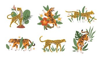 Tropical leaves with tigers, leopards and jaguars. Beautiful mini compositions with wild animals and exotic plants and flowers decor elements. Safari and zoo mammals vector modern cartoon isolated set. Tropical leaves with tigers, leopards and jaguars. Beautiful mini compositions with wild animals and exotic plants and flowers decor elements. Safari and zoo mammals vector isolated set