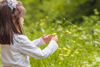 Adorable four years old cute little girl picks wild flower at meadow in a sunny day