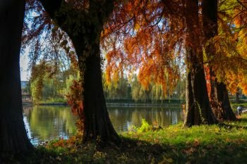 Lake and trees with autumn colors
