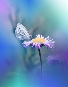 Beautiful Violet Nature Background.Floral Art Design.Macro Photography.Floral abstract pastel background with copy space.Butterfly and Floral Field.Butterfly in Summer Floral Background.Beautiful Butterfly on a Flower.Creative Artistic Wallpaper.