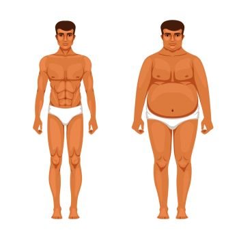 Visualization of weight loss. Muscular and fat man. Vector cartoon illustration of lifestyle. Muscular body male and transformation guy. Visualization of weight loss. Muscular and fat man. Vector cartoon illustration of lifestyle