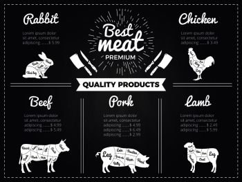 Hand drawn illustrations of domestic animals. Design template of menu for butcher shop. Pictures on black chalkboard. Menu butchery shop, beef scheme, diagram cattle vector. Hand drawn illustrations of domestic animals. Design template of menu for butcher shop. Pictures on black chalkboard