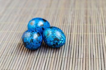 Blue quail eggs