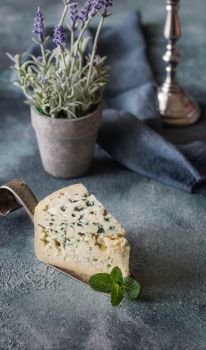 Blue cheese with mint leaves