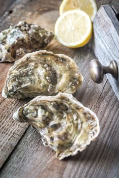 Raw oysters on the wooden background