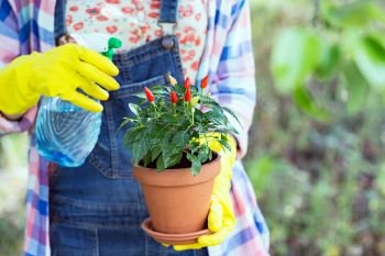 smiling girl plants a flowers in the garden. flower pots and plants for transplanting
