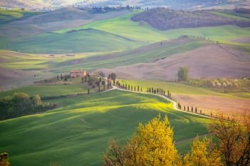 typical Tuscan landscape - a view of a villa on a hill, a cypress alley and a valley with vineyards, province of Siena. Tuscany, Italy
