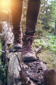 hiking boots close-up. girl tourist steps on a log

