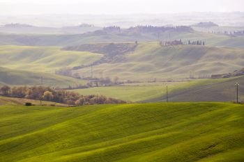 green waves.  magical typical Tuscan landscape - a view of a hill and green fields at sunny day. province of Siena. Tuscany, Italy
