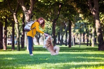 training - girl and dog corgi walking in the park
