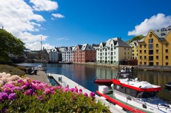 flowers growing at the streets of famous norwegian town Alesund
