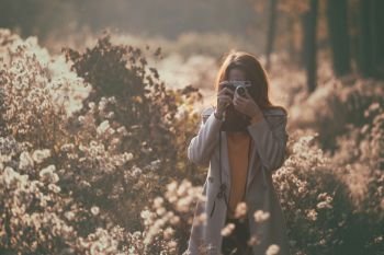 vintage autumn. girl with a vintage camera walks in the fields of fluffy dandelions at sunset
