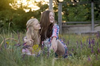 summer - Smiling girls sisters have fun in a meadow
