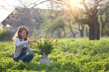 girl collects a bouquet of tulips in the garden against the backdrop of the sunset. spring and gardening
