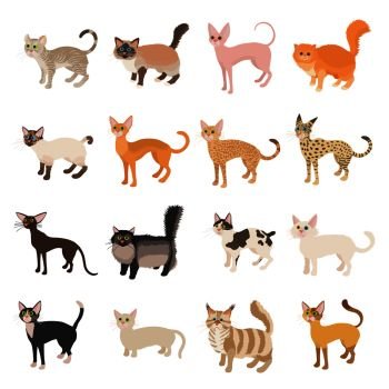 Cat icons set in cartoon style on a white background. Cat icons set, cartoon style