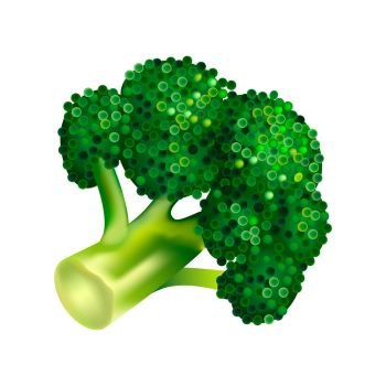 Farm broccoli icon. Isometric of farm broccoli vector icon for web design isolated on white background. Farm broccoli icon, isometric style