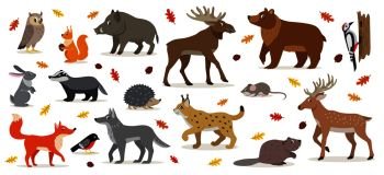 Big set of forest woodland animals isolated on white, owl, squirrel, hare, bear, fox, wolf, badger, hedgehog bullfinch, moose, deer, lynx, boar beaver colorful woodpecker and small mouse vector. Big set of forest woodland animals isolated vector illustration