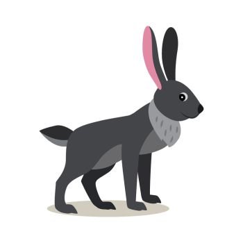 Cute gray rabbit hare isolated on white background, forest, woodland animal, vector illustration in flat style. Cute gray rabbit hare isolated on white background